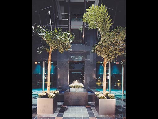 Interior Landscape Project 011 Pgs