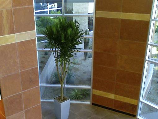 Interior Landscape Project 3 Pgs