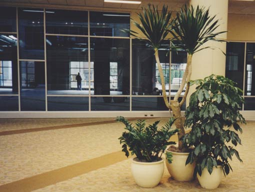 Interior Landscape Project 6 Pgs