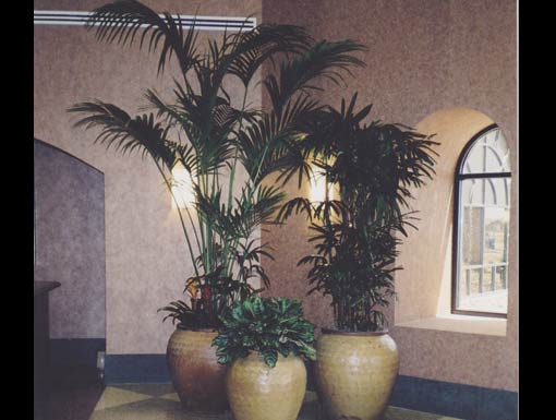 Interior Landscape Project 9 Pgs