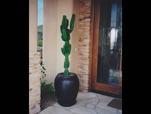 Patioscape by Bob's Tropicals Inc.