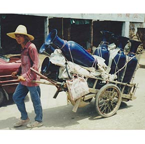 Asia Pottery by Bob's Tropical Inc, Phoenix Az