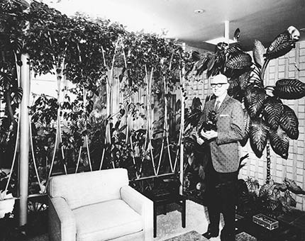 Robert Thomas Founder Bobs Tropicals